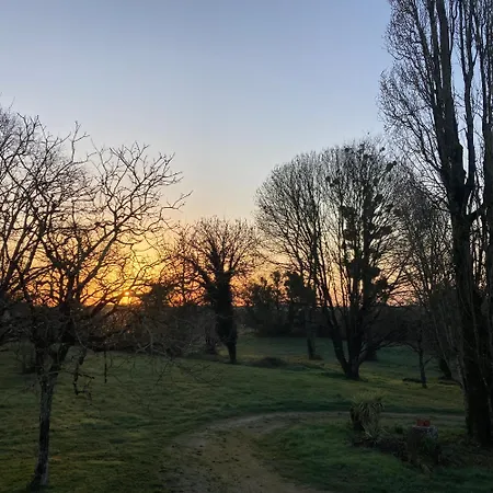 Avec Piscine Et Grand Jardin * Saint-Simon-de-Pellouaille