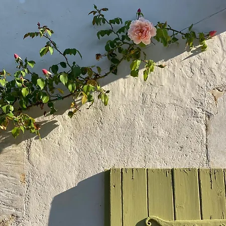 Avec Piscine Et Grand Jardin Saint-Simon-de-Pellouaille