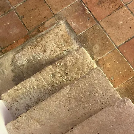 Avec Piscine Et Grand Jardin Tatil Evi Saint-Simon-de-Pellouaille