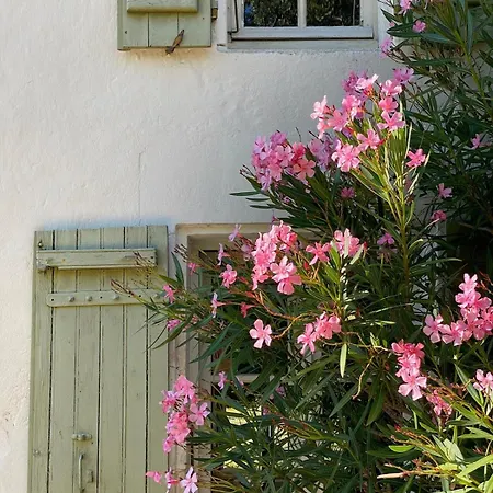 Avec Piscine Et Grand Jardin Saint-Simon-de-Pellouaille